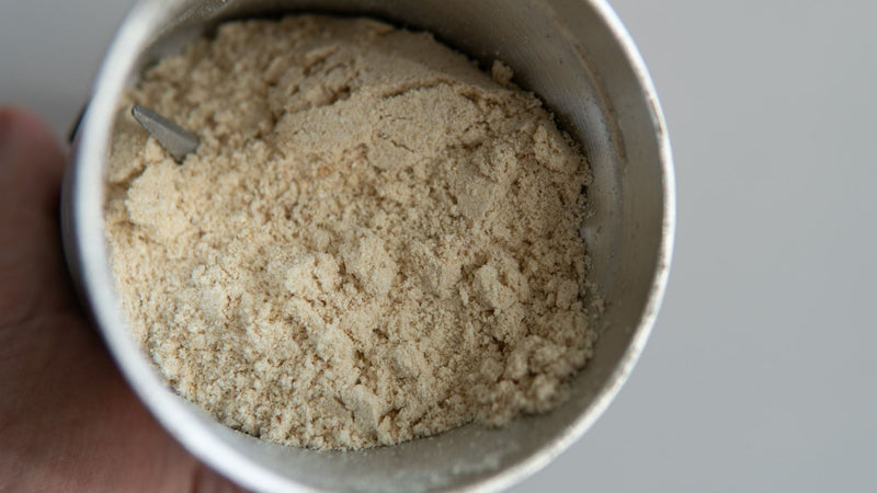 Close-up of finely milled Lion’s Mane extract powder in a metal scoop, highlighting texture and suitability for formulation.