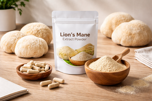 Lion’s Mane Powder for Nootropic Supplement Lines