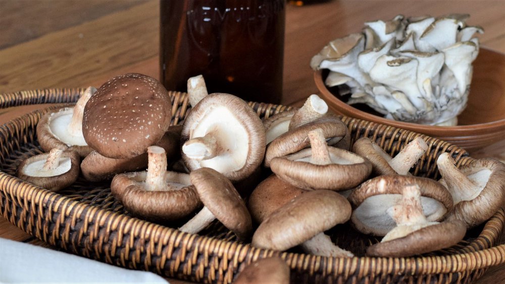 Maitake Vs. Shiitake Mushrooms: Comparing Health Benefits - Xotic Mushrooms