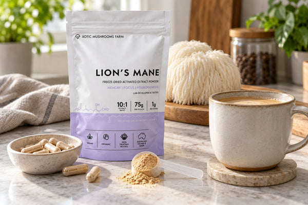 how to take Lion's Mane as extract powder in coffee or as capsules