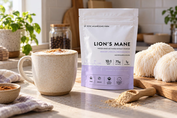 When to Take Lion's Mane: Morning, Afternoon or Night?