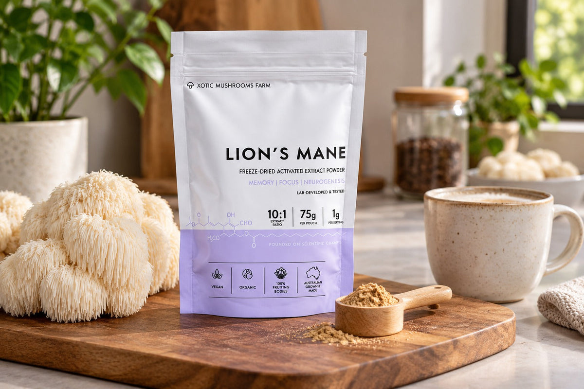 Lion’s Mane extract powder and a scoop beside the product’s existing front label.