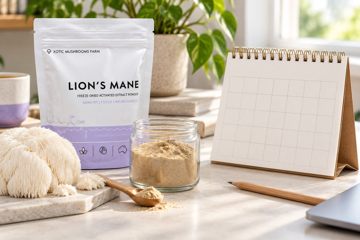 Lion’s Mane extract beside an unmarked calendar, illustrating the discussion of study duration.