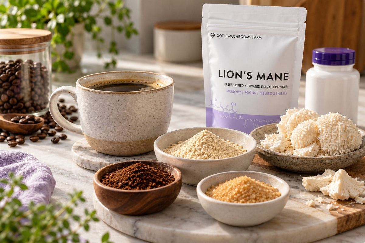 mushroom coffee ingredients including coffee, Lion's Mane extract powder and add-ins