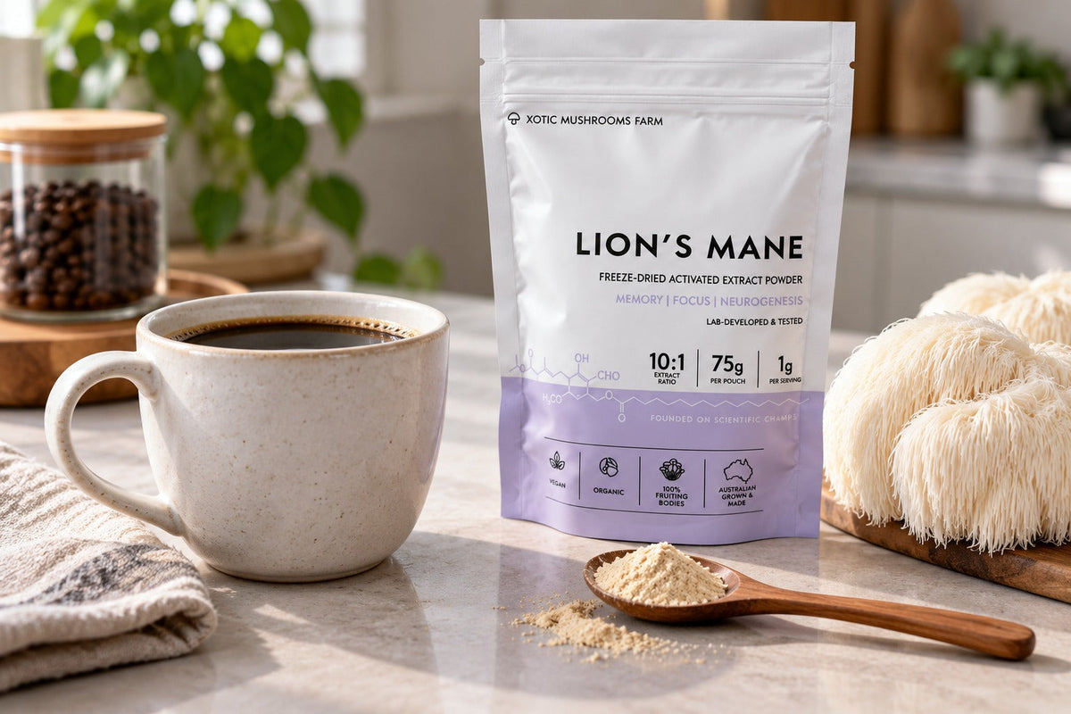 How to make mushroom coffee at home with Lion's Mane extract powder