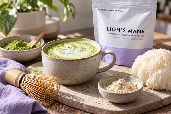 Mushroom Matcha: What It Is and How to Make It