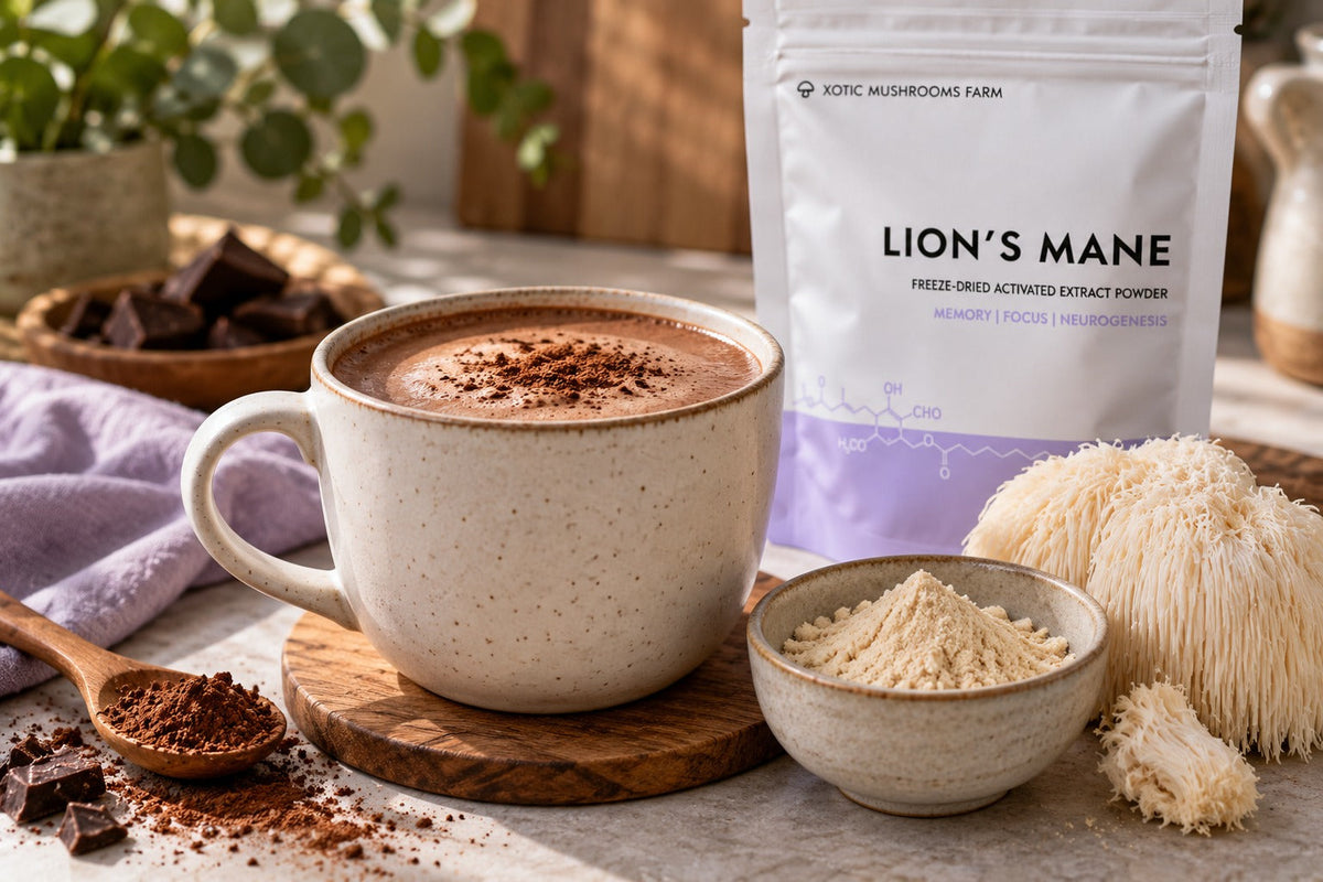 mushroom hot chocolate made with Lion's Mane extract powder and cocoa