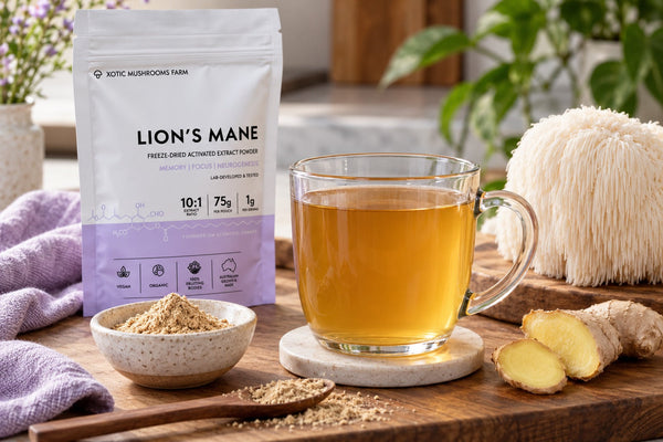 mushroom tea made with Lion's Mane extract powder and ginger