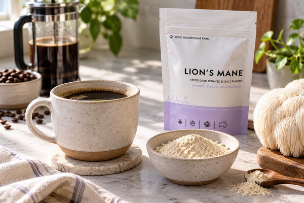 does mushroom coffee have caffeine, coffee cup next to Lion's Mane extract powder