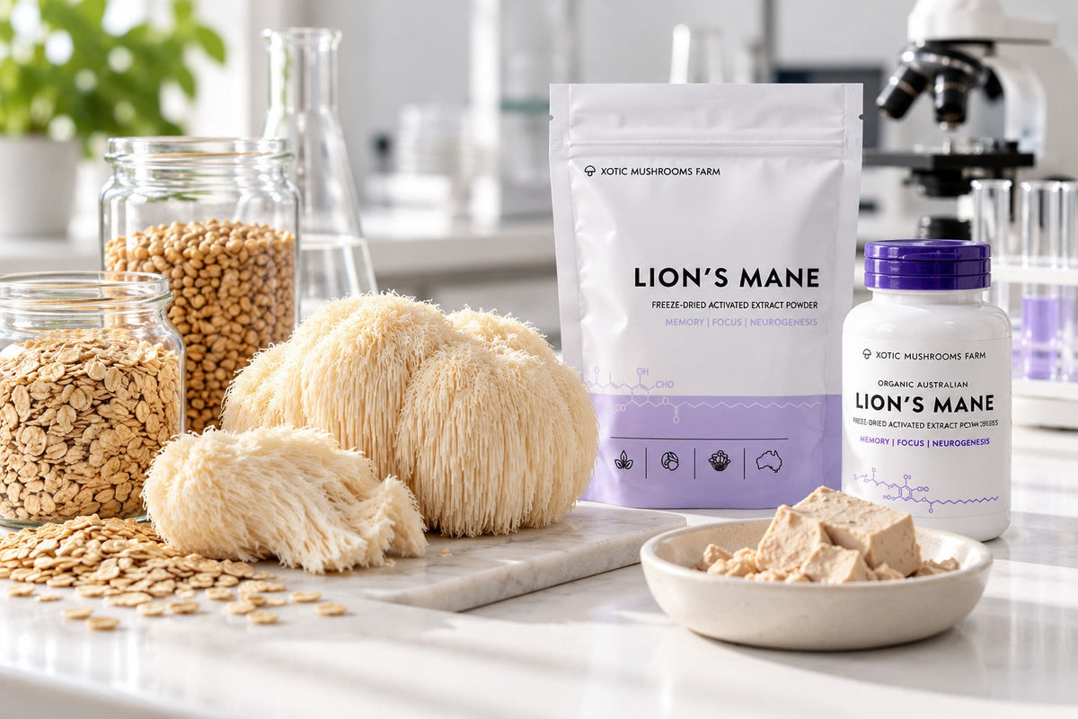 beta glucan sources including oats, barley, yeast and Lion's Mane mushroom