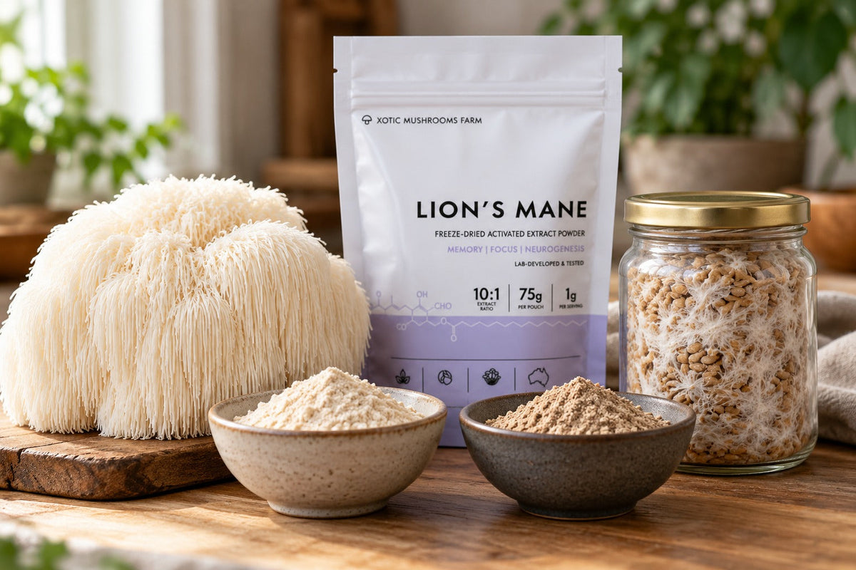 mycelium powder compared with Lion's Mane fruiting body powder