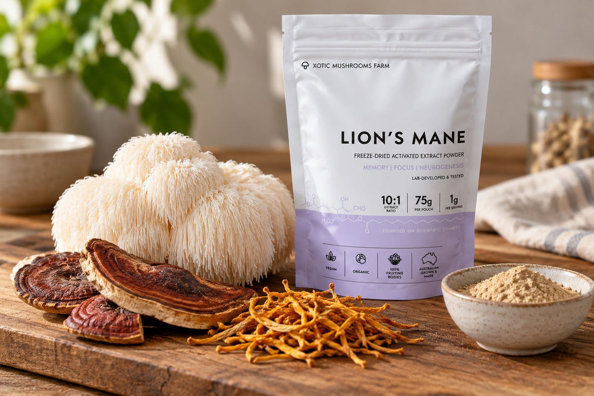 nootropic mushrooms including Lion's Mane, reishi and cordyceps