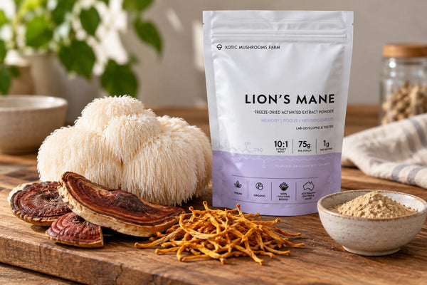 nootropic mushrooms including Lion's Mane, reishi and cordyceps