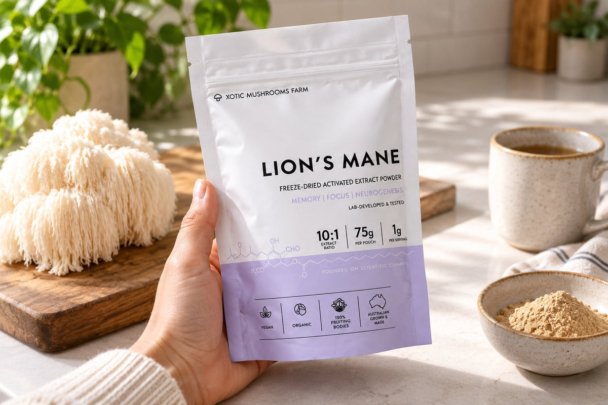 Inspecting the front label of a Xotic Lion’s Mane extract powder pouch.
