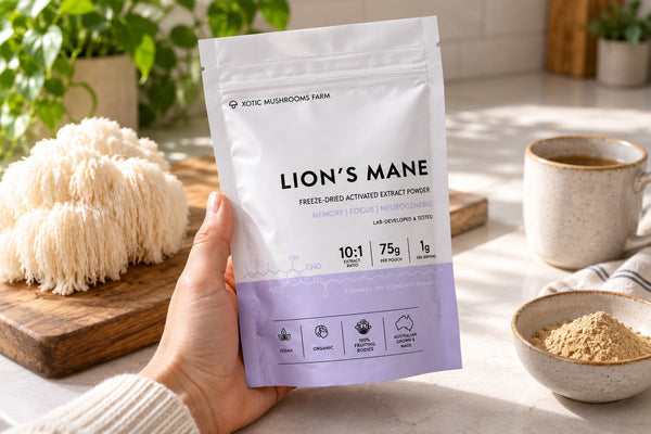 Inspecting the front label of a Xotic Lion’s Mane extract powder pouch.