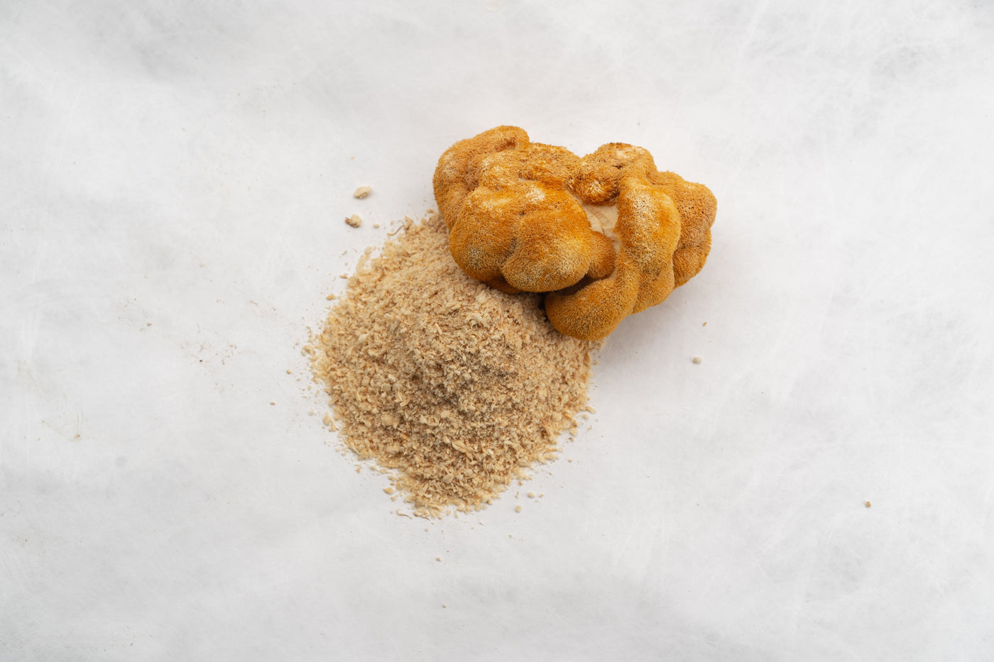 Lion’s Mane Extract Powder Benefits for Supplement Brands