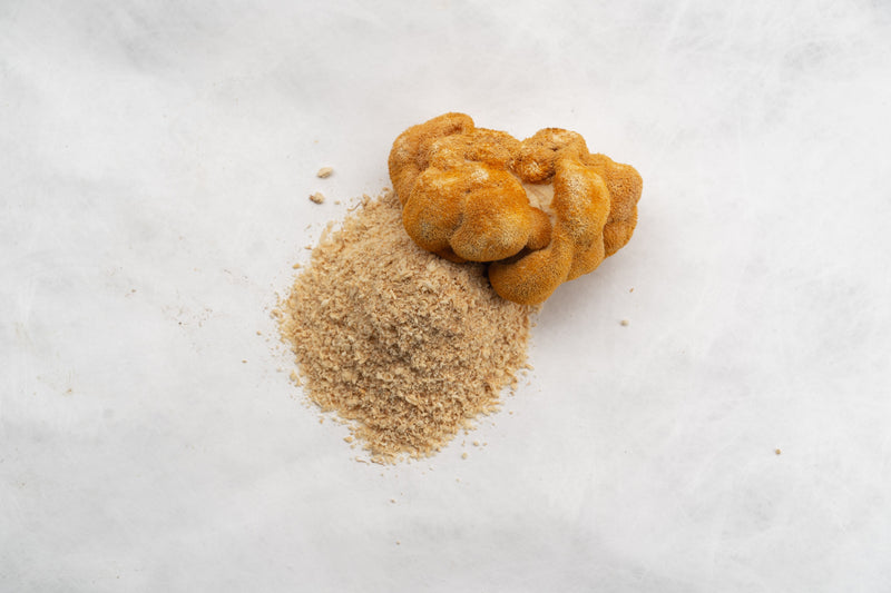 Lion’s Mane Extract Powder Benefits for Supplement Brands