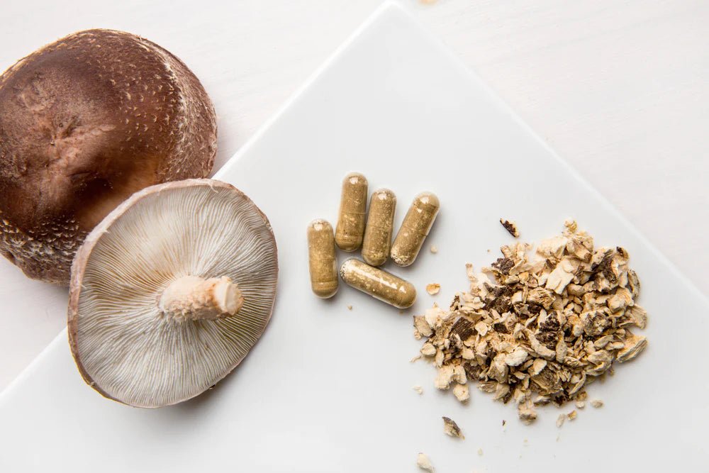 What Are Mushroom Supplements? - Xotic Mushrooms