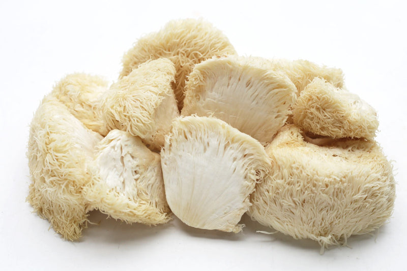 Fresh Lion’s Mane mushrooms clustered together on a white background showing their shaggy texture.