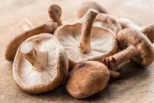 What Mushrooms Are Low Fodmap? - Xotic Mushrooms