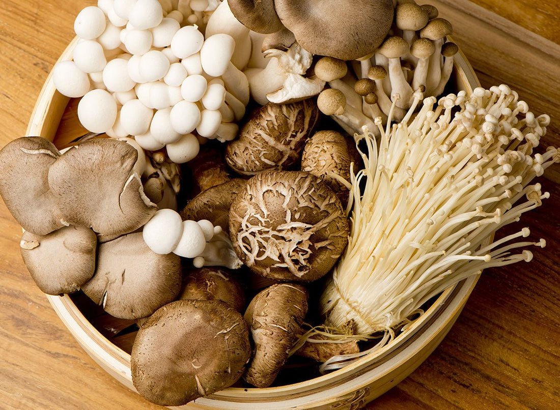 Which Mushrooms Can Be Eaten Raw? - Xotic Mushrooms