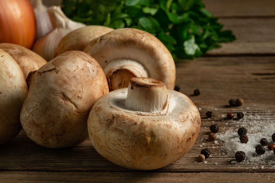 Which Mushrooms Have The Most Protein? - Xotic Mushrooms