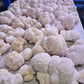 Lion's Mane - 1kg Organic | Australian Grown