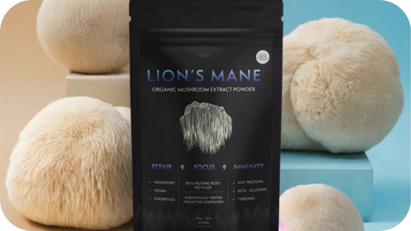 Lion's Mane & the anxiety conversation