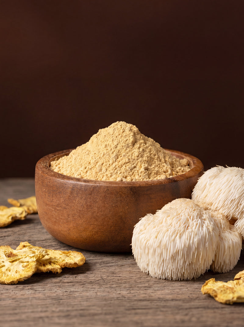 Lion's Mane Extract Powder