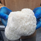 Lions Mane Organic Freeze Dried Extract Powder | 100% Fruit Bodies 12:1 Extract