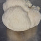 Lions Mane Organic Freeze Dried Extract Powder | 100% Fruit Bodies 12:1 Extract