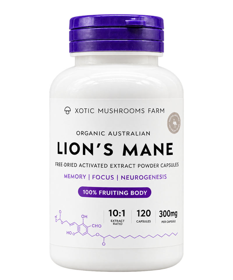 Xotic Lion’s Mane 120-capsule bottle
