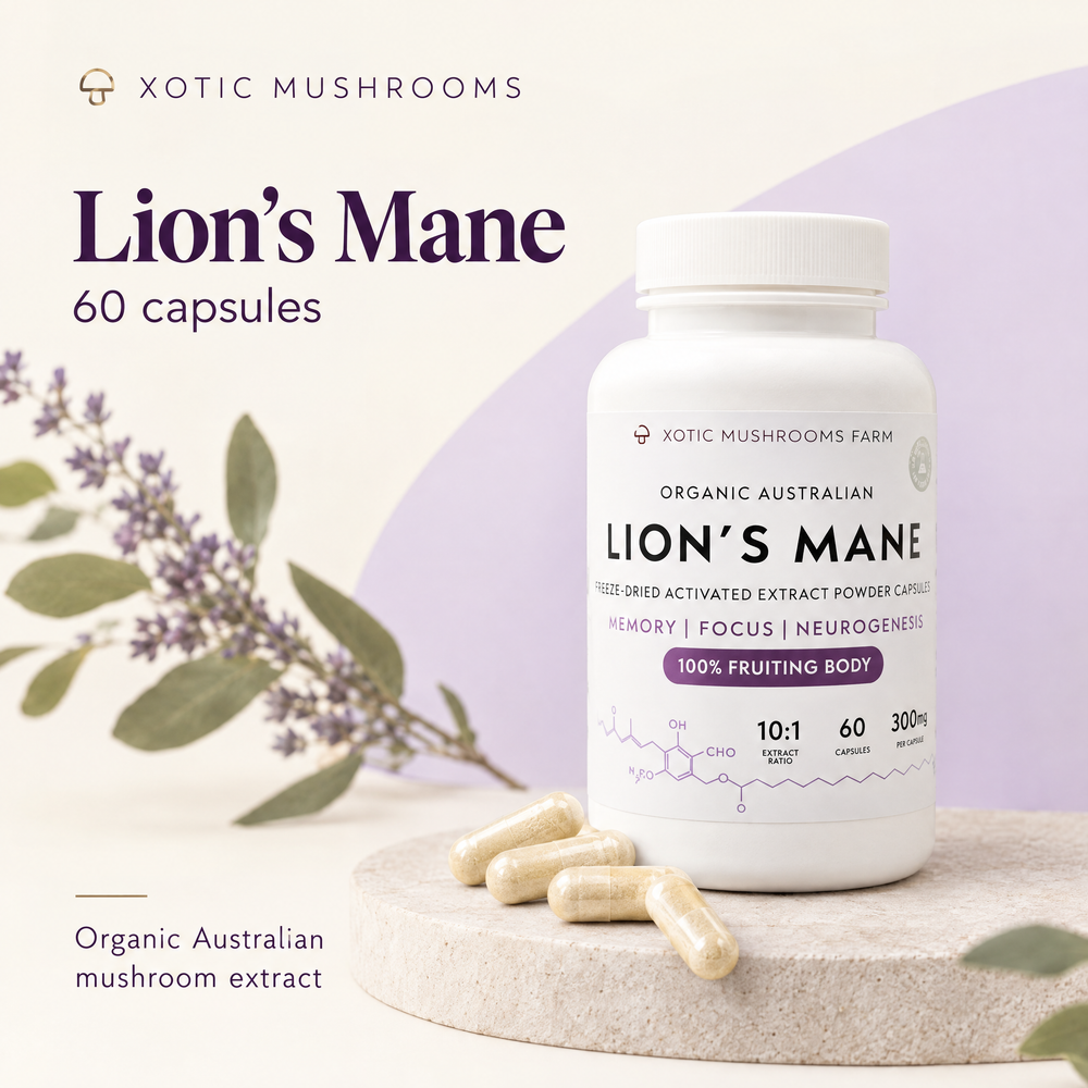 Xotic Mushrooms Lion’s Mane 60-capsule bottle, 300 mg per capsule and 10:1 extract