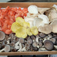 1kg Mixed Variety Xotic Mushroom Tray - Xotic Mushrooms