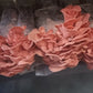 1kg Pink Oyster Mushrooms - Xotic Mushrooms