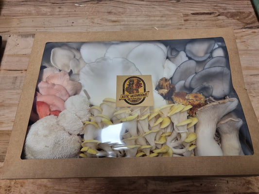 1.5kg Mixed Variety Box