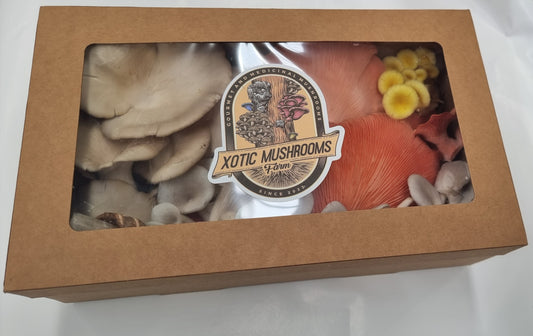 300g Mixed Gourmet Variety - Xotic Melbourne Mushrooms