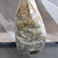 Golden Oyster (Yellow) Mushroom Grow Kit - Xotic Mushrooms