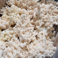 Snow Flake Mushroom | Australian Native Lions Mane (Hericium Coralloides) -Exotic Mushroom Xotic Mushrooms