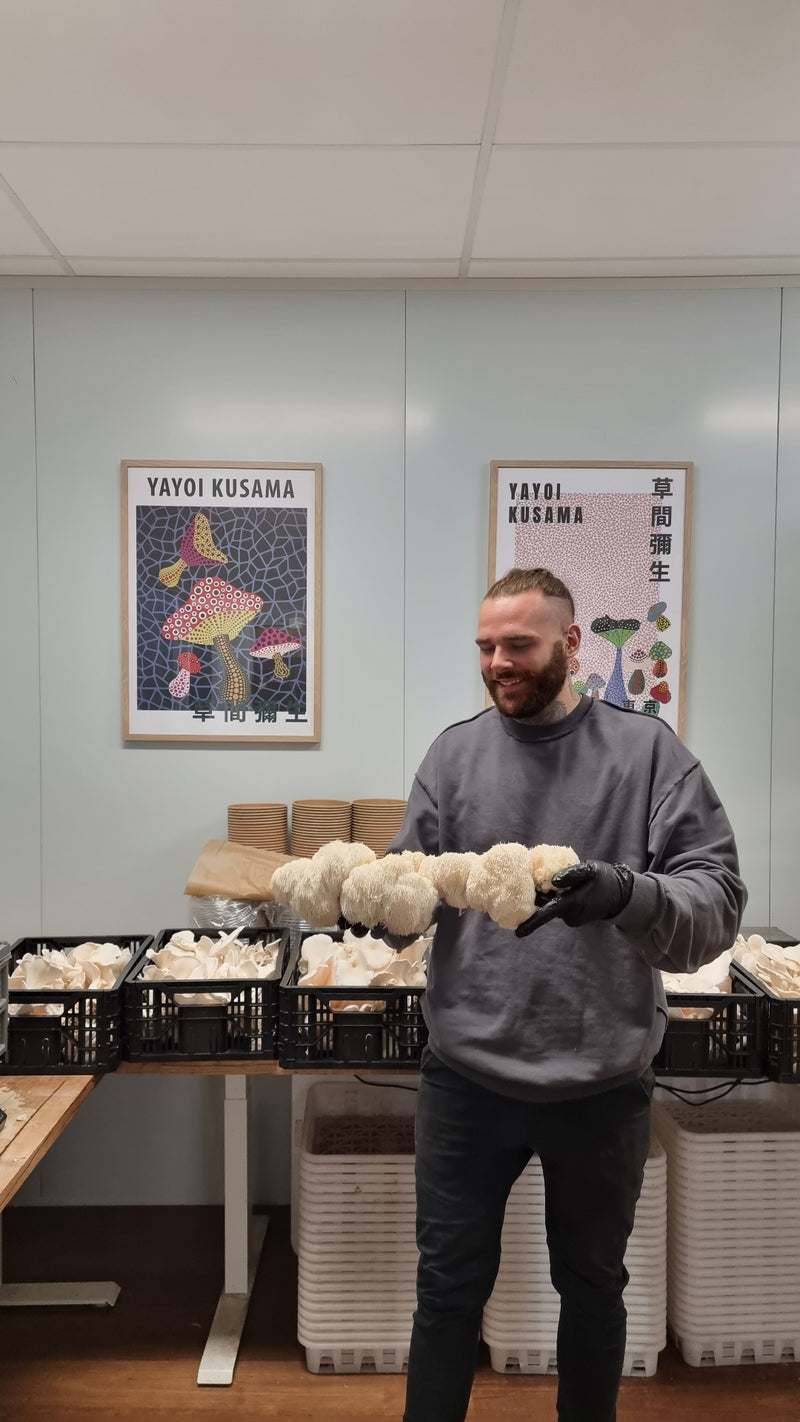Xotic grower holding a large Lion’s Mane harvest