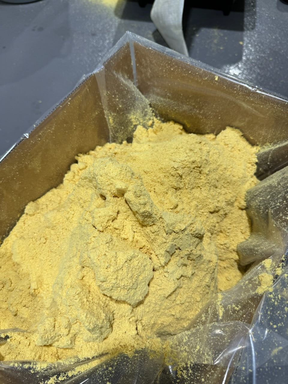 Finished Lion’s Mane extract powder in a lined bulk carton