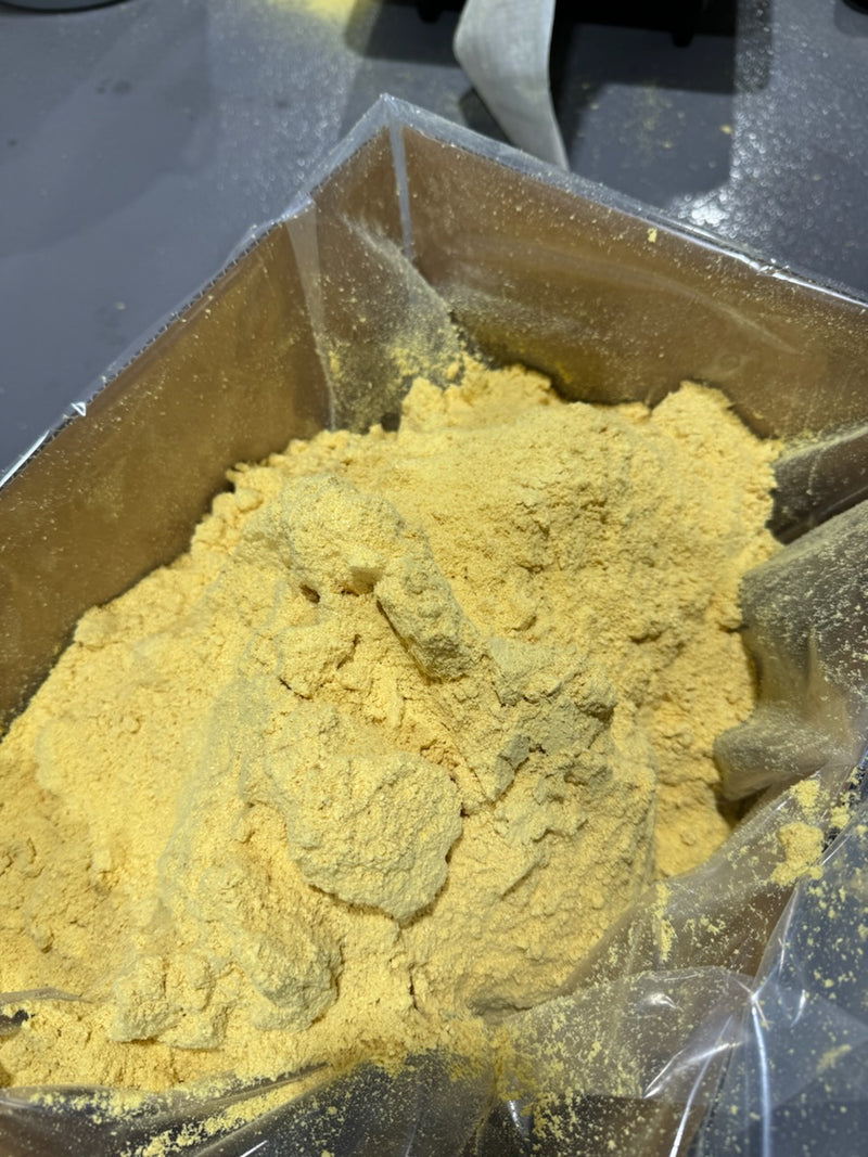 Finished freeze-dried Lion’s Mane extract powder