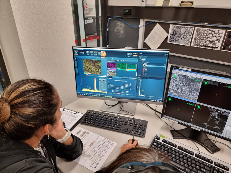 Researcher reviewing microscopy data