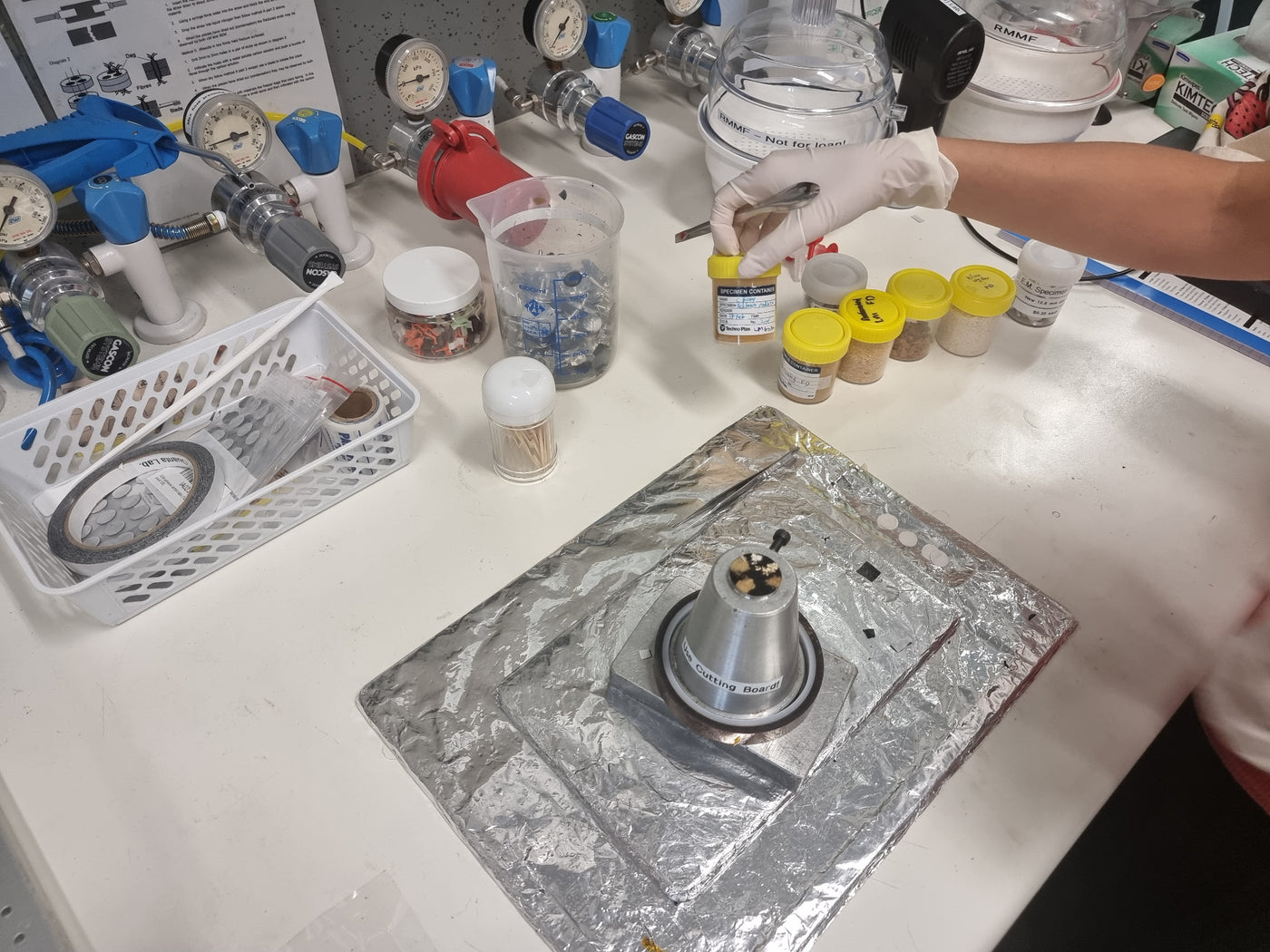 Lion’s Mane samples being prepared in a laboratory
